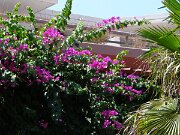 DSC01713